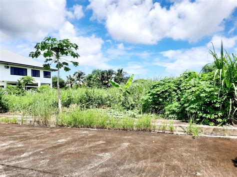 barangay mandalagan|Mandalagan .